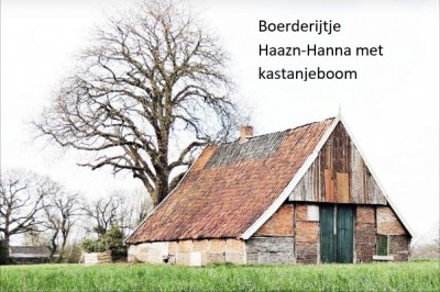 Boerderij Haaz'n Hanna in de Mekkelhorst in Beuningen