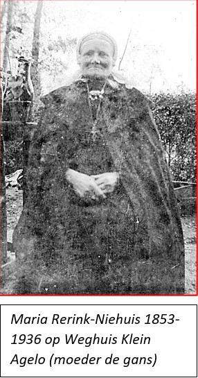 Maria Rerink-Niehuis 1853-1936 op Weghuis Klein Agelo  (moeder de gans)