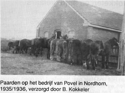 Paarden op het bedrijf van Povel in Nordhorn 1935-1936, verzorgd door B. Kokkeler